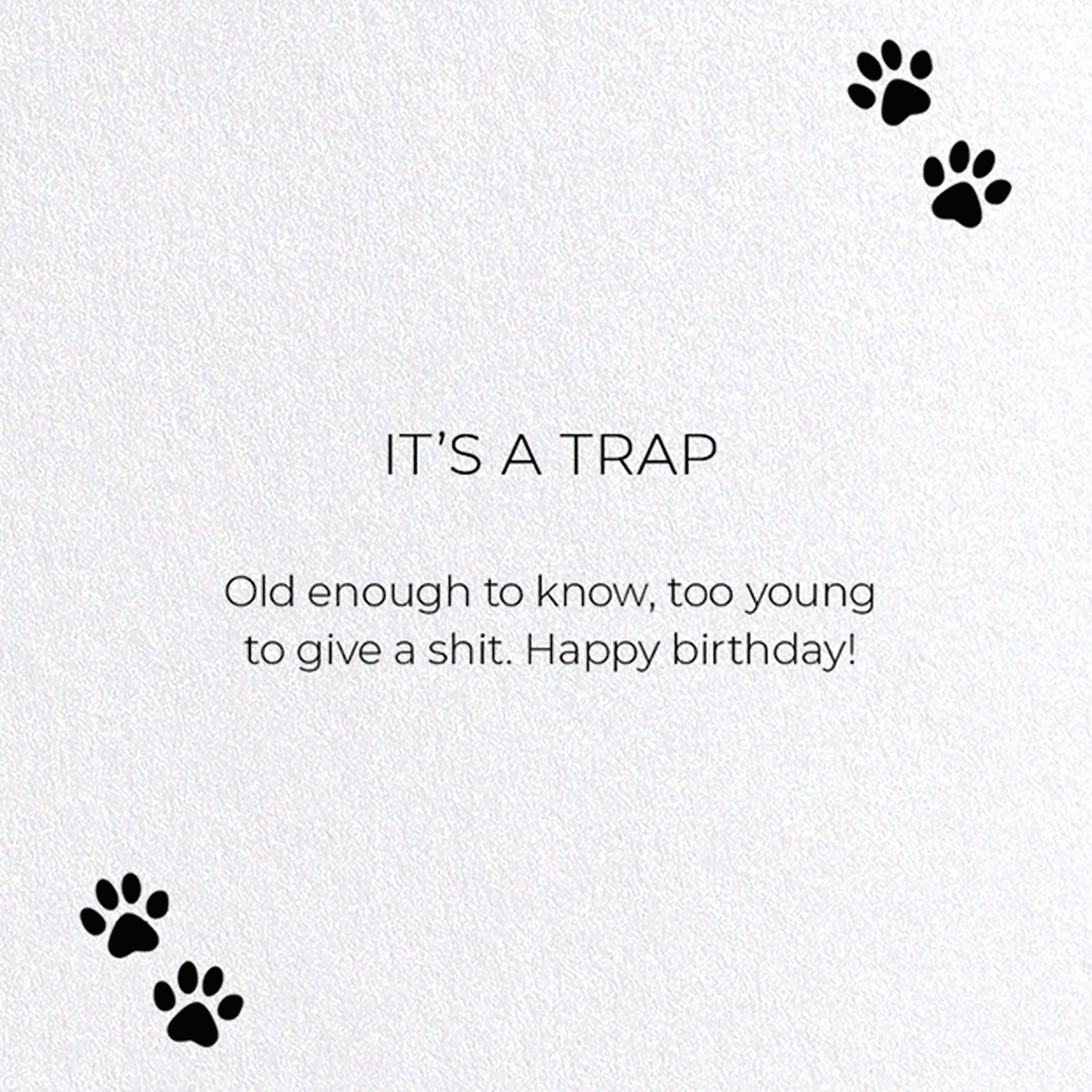 IT'S A TRAP: Funny Animal Greeting Card
