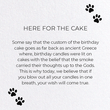 HERE FOR THE CAKE: Funny Animal Greeting Card
