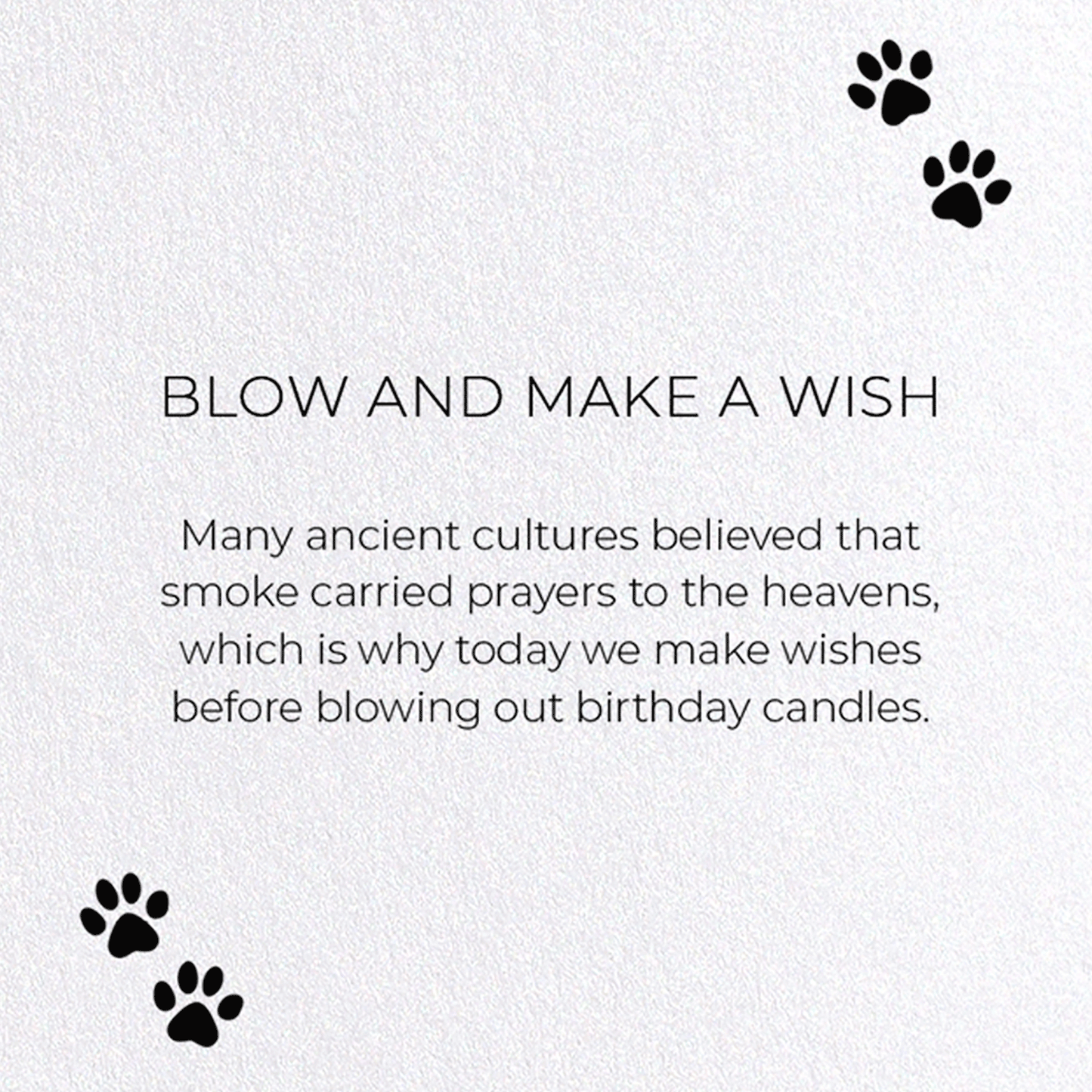 BLOW AND MAKE A WISH: Funny Animal Greeting Card