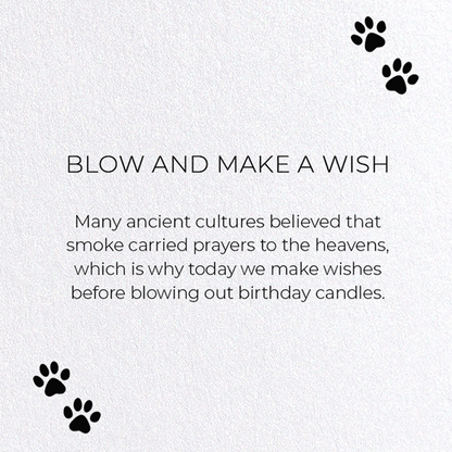 BLOW AND MAKE A WISH: Funny Animal Greeting Card
