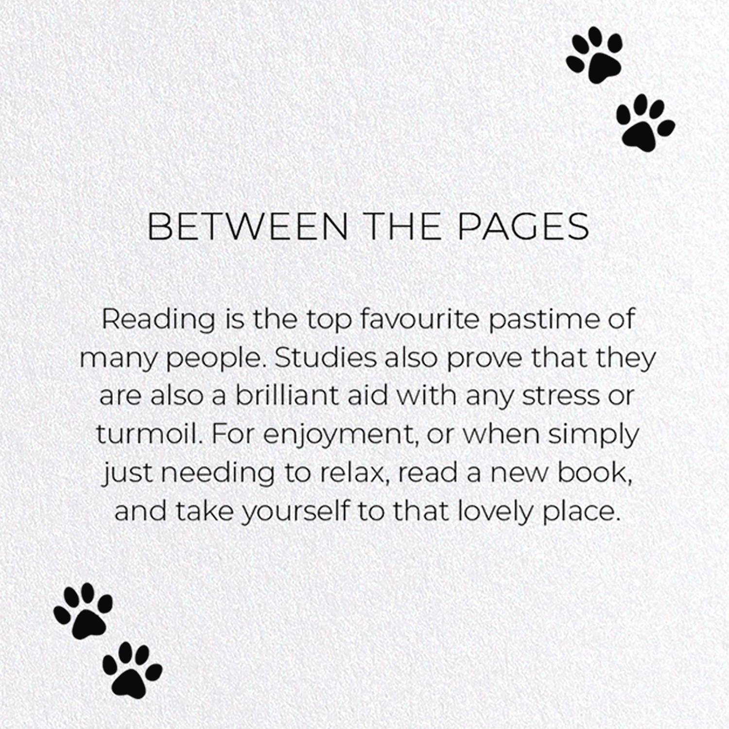 BETWEEN THE PAGES: Funny Animal Greeting Card