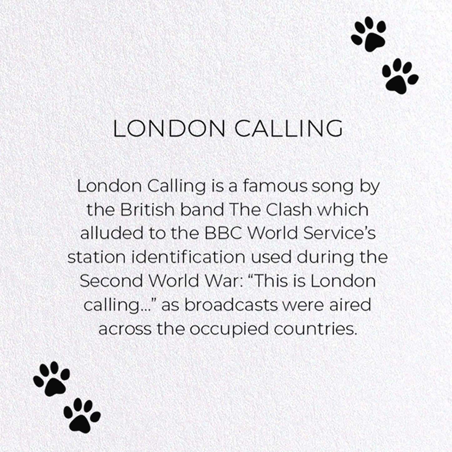 LONDON CALLING: Funny Animal Greeting Card