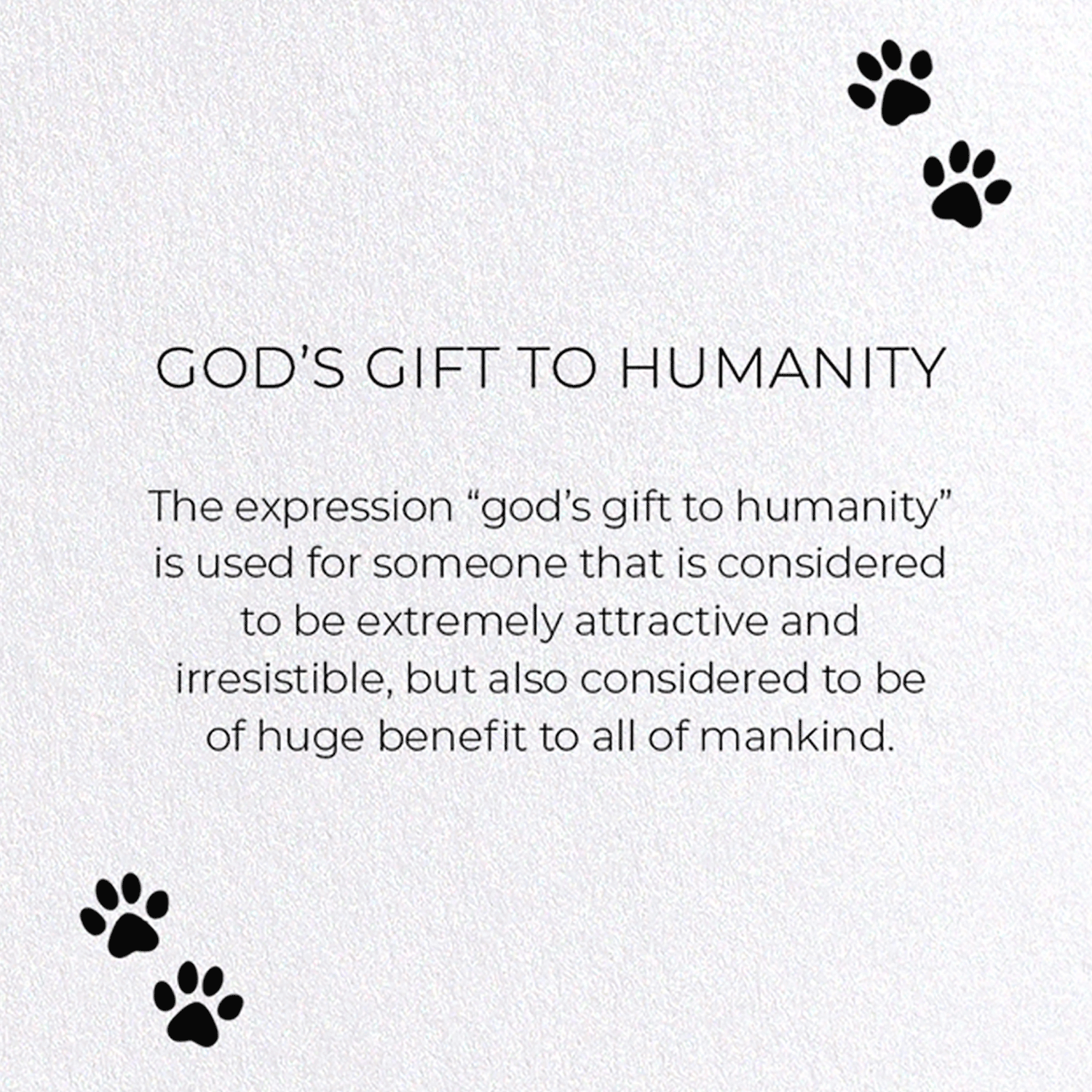 GOD'S GIFT TO HUMANITY : Funny Animal Greeting Card