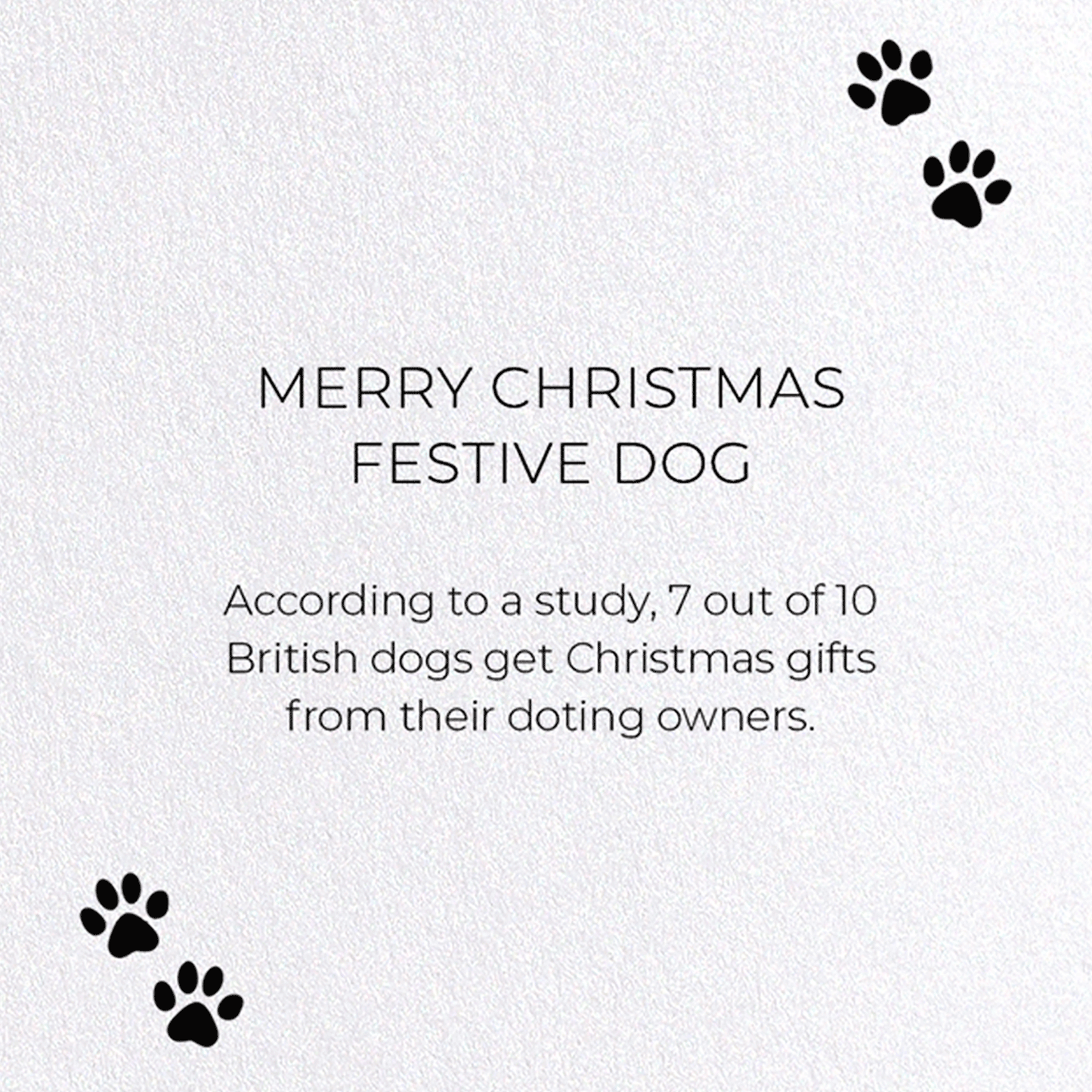 MERRY CHRISTMAS FESTIVE DOG: Funny Animal Greeting Card
