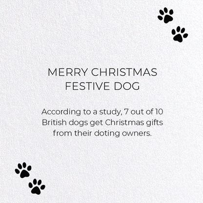 MERRY CHRISTMAS FESTIVE DOG: Funny Animal Greeting Card