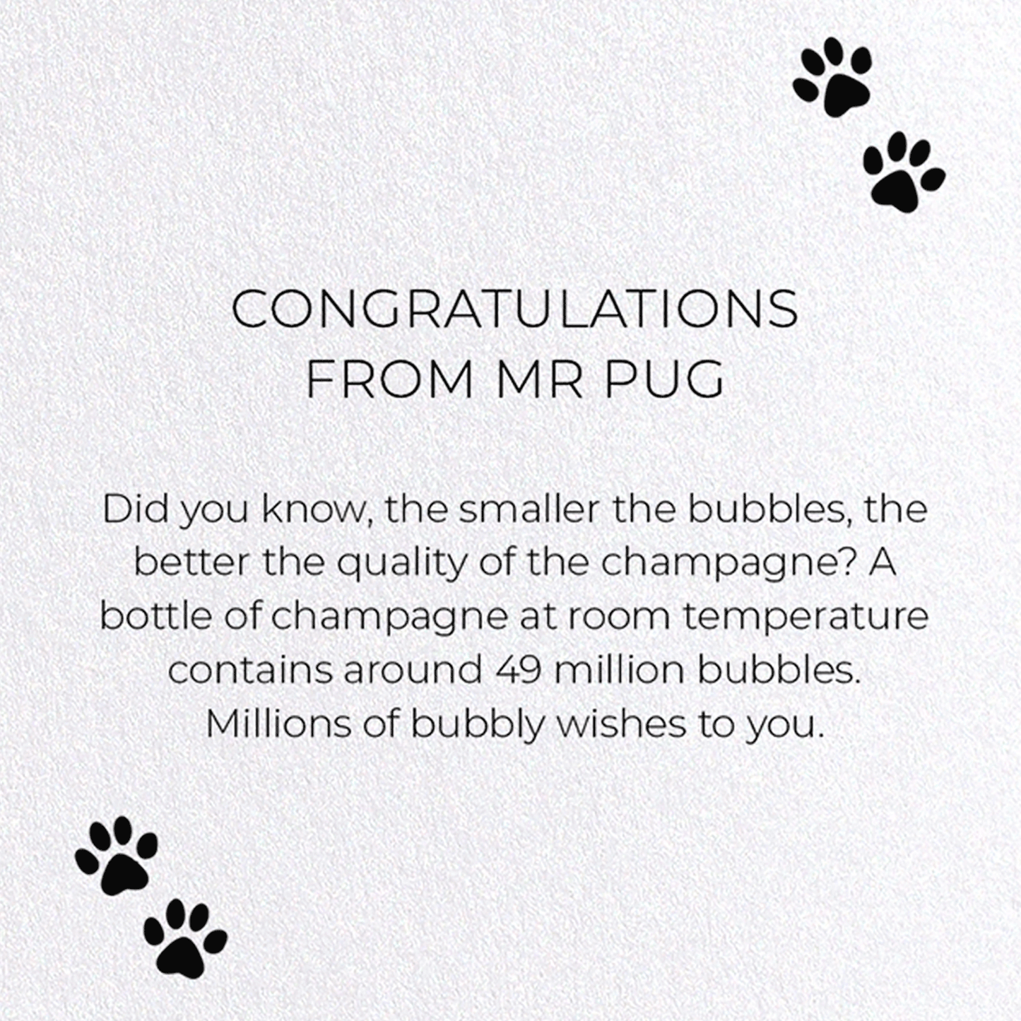 CONGRATULATIONS FROM MR PUG: Funny Animal Greeting Card