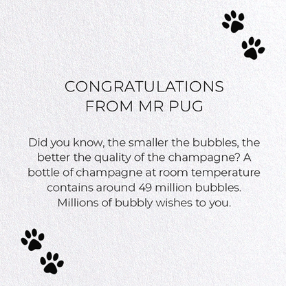 CONGRATULATIONS FROM MR PUG: Funny Animal Greeting Card