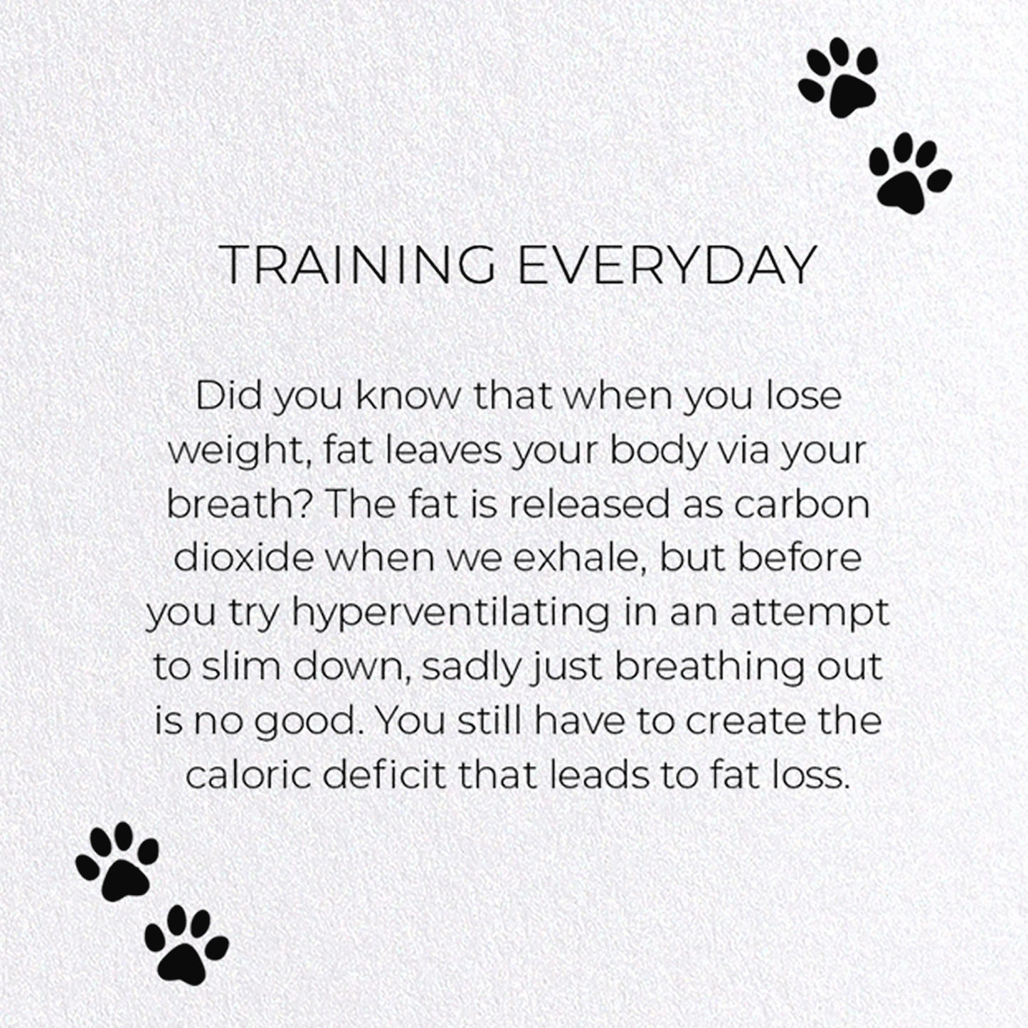 TRAINING EVERYDAY: Funny Animal Greeting Card