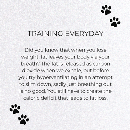 TRAINING EVERYDAY: Funny Animal Greeting Card