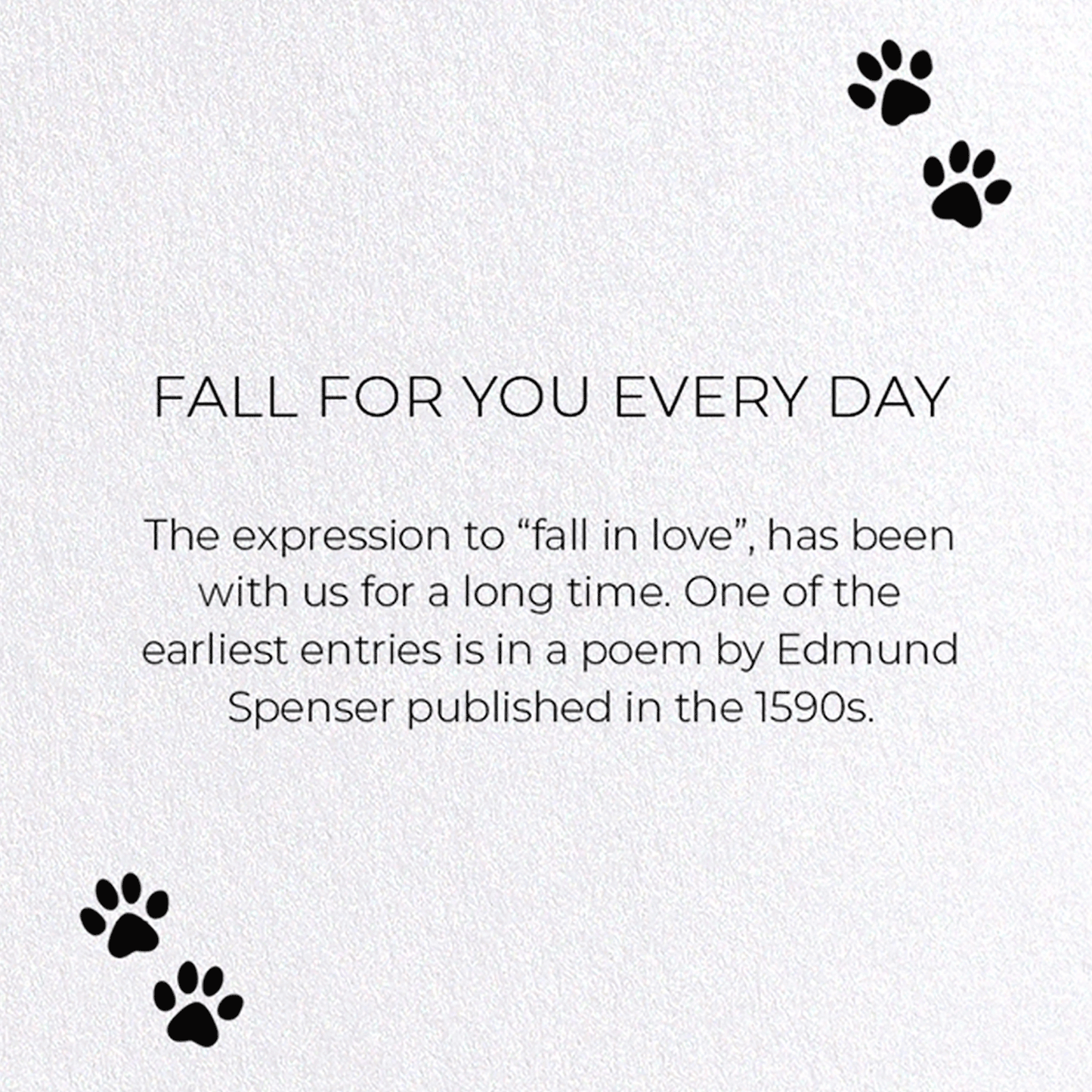 FALL FOR YOU EVERY DAY: Funny Animal Greeting Card