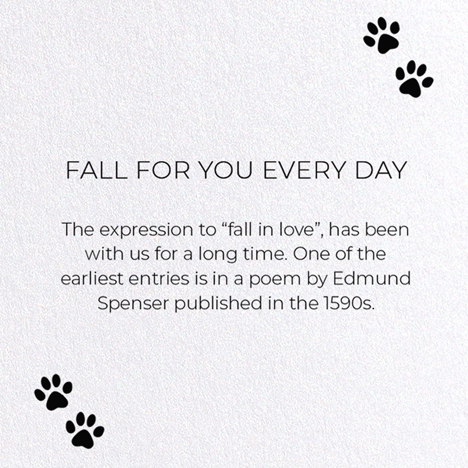 FALL FOR YOU EVERY DAY: Funny Animal Greeting Card