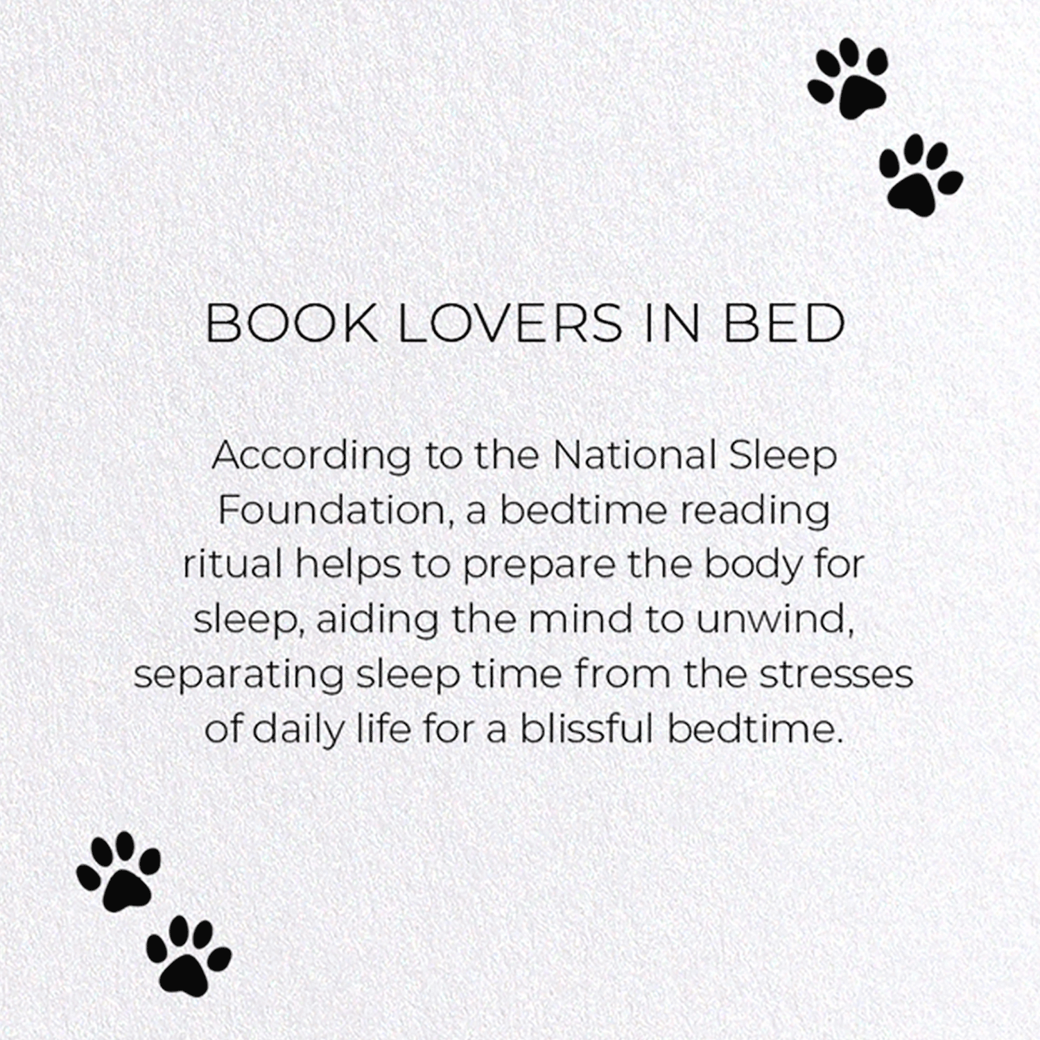 BOOK LOVERS IN BED: Funny Animal Greeting Card