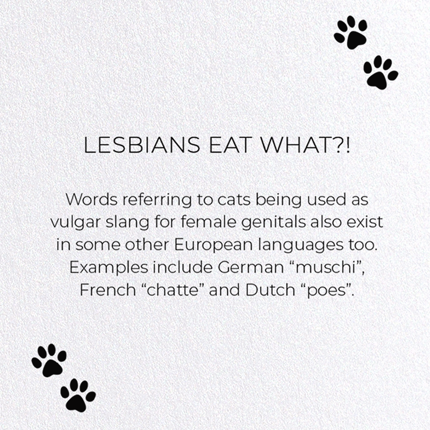 LESBIANS EAT WHAT?!: Funny Animal Greeting Card