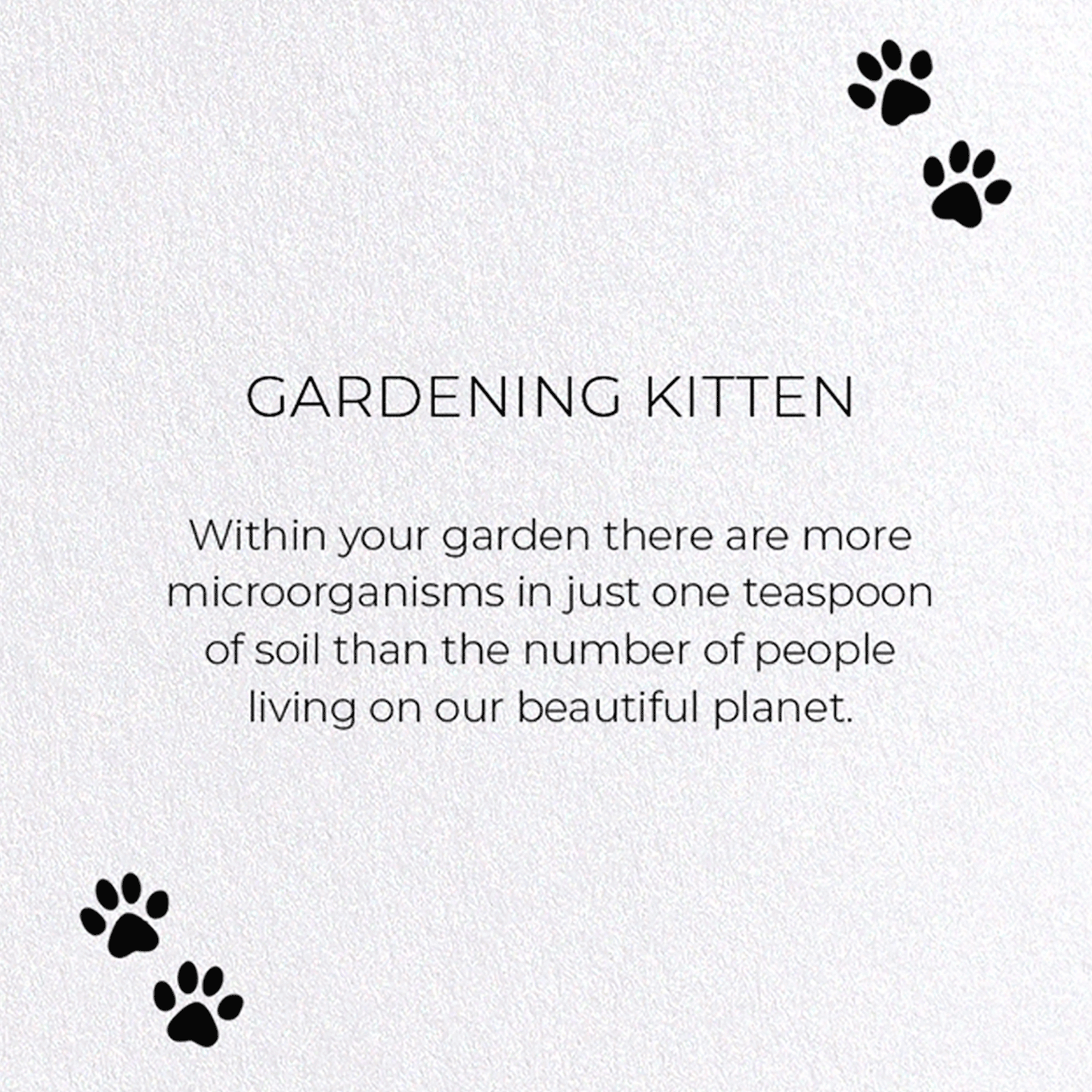 GARDENING KITTEN: Funny Animal Greeting Card