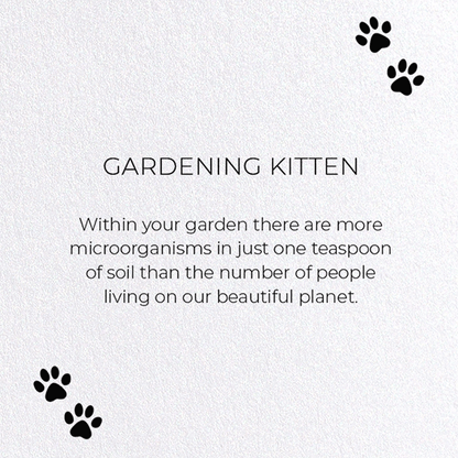 GARDENING KITTEN: Funny Animal Greeting Card