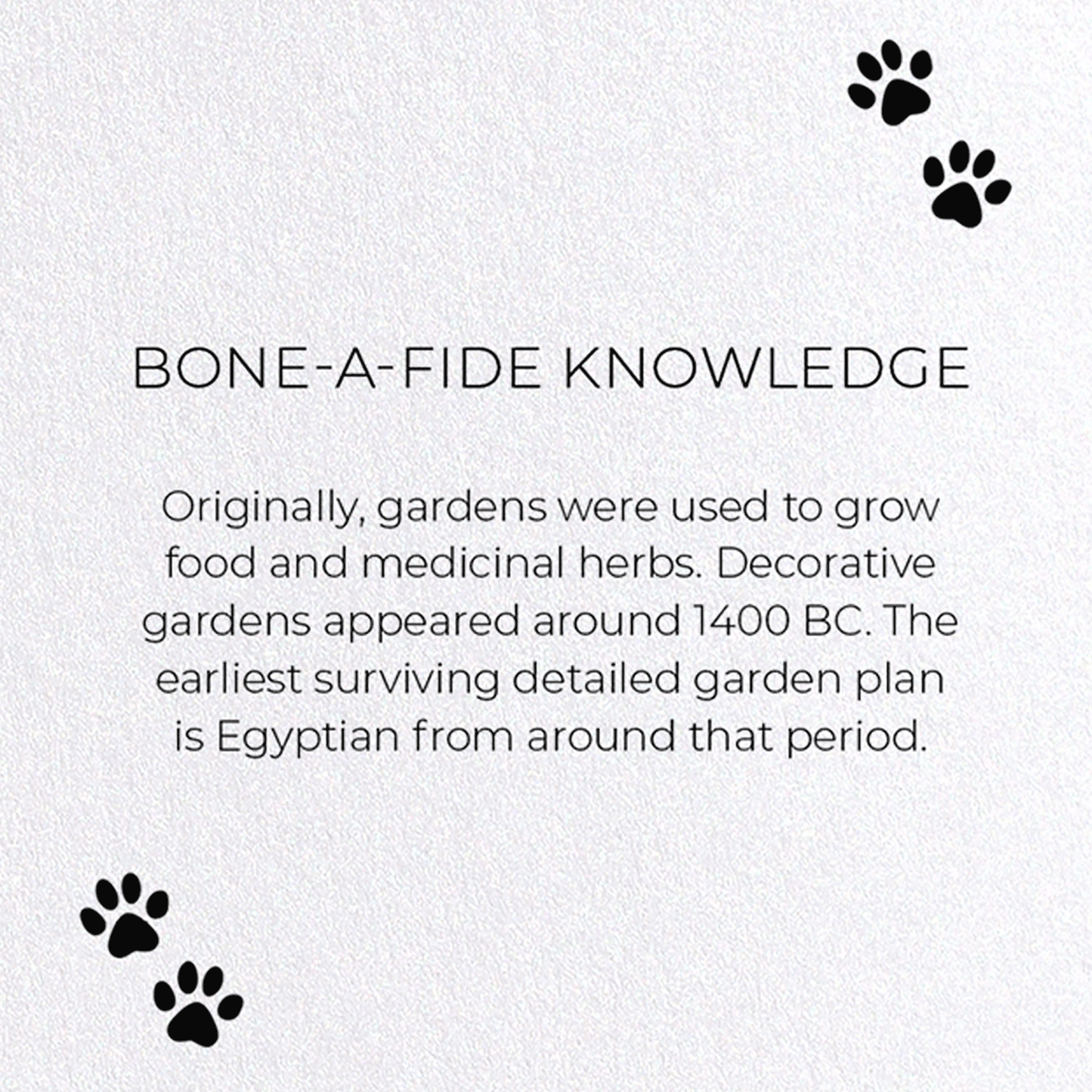 BONE-A-FIDE KNOWLEDGE: Funny Animal Greeting Card