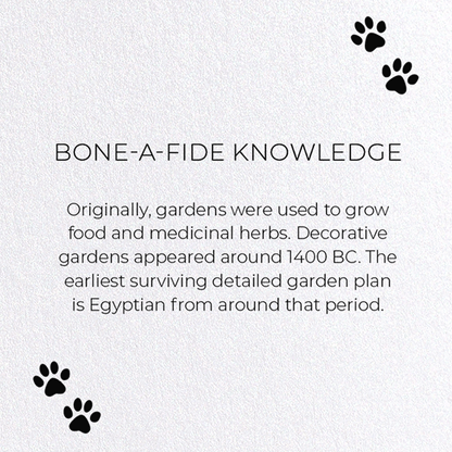 BONE-A-FIDE KNOWLEDGE: Funny Animal Greeting Card