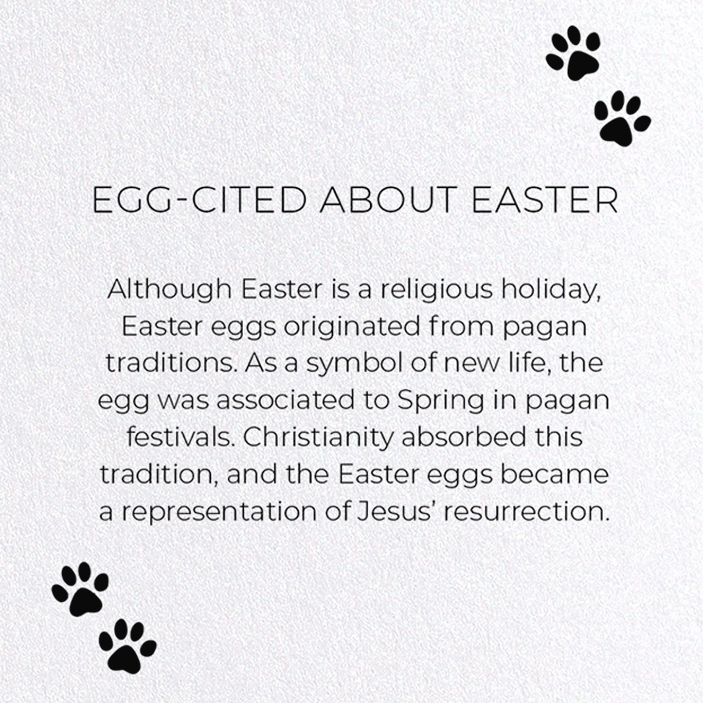 EGG-CITED ABOUT EASTER: Funny Animal Greeting Card