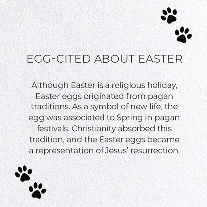 EGG-CITED ABOUT EASTER: Funny Animal Greeting Card