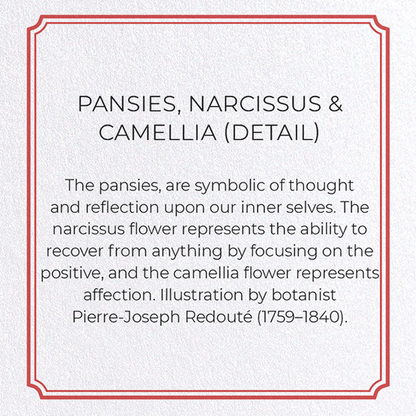 PANSIES, NARCISSUS & CAMELLIA: Botanical Greeting Card