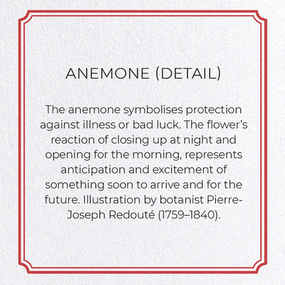 ANEMONE: Botanical Greeting Card