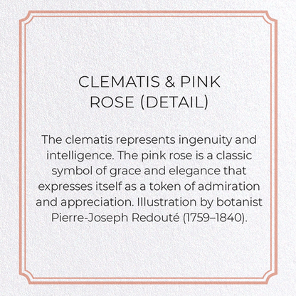 CLEMATIS & PINK ROSE: Botanical Greeting Card