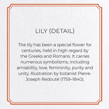 LILY: Botanical Greeting Card