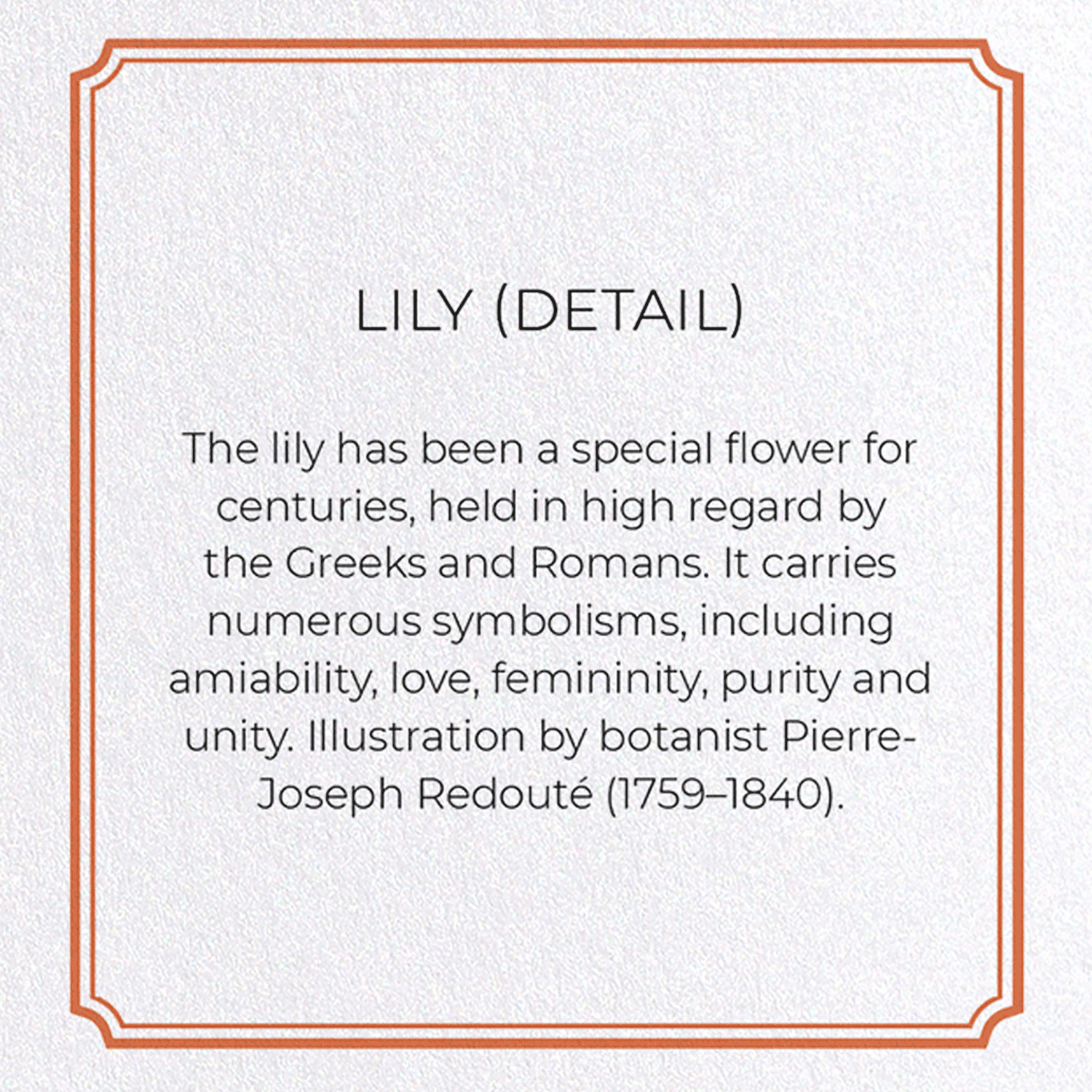 LILY: Botanical Greeting Card