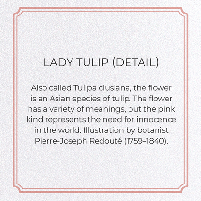 LADY TULIP: Botanical Greeting Card