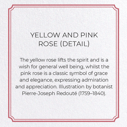 YELLOW AND PINK ROSE: Botanical Greeting Card