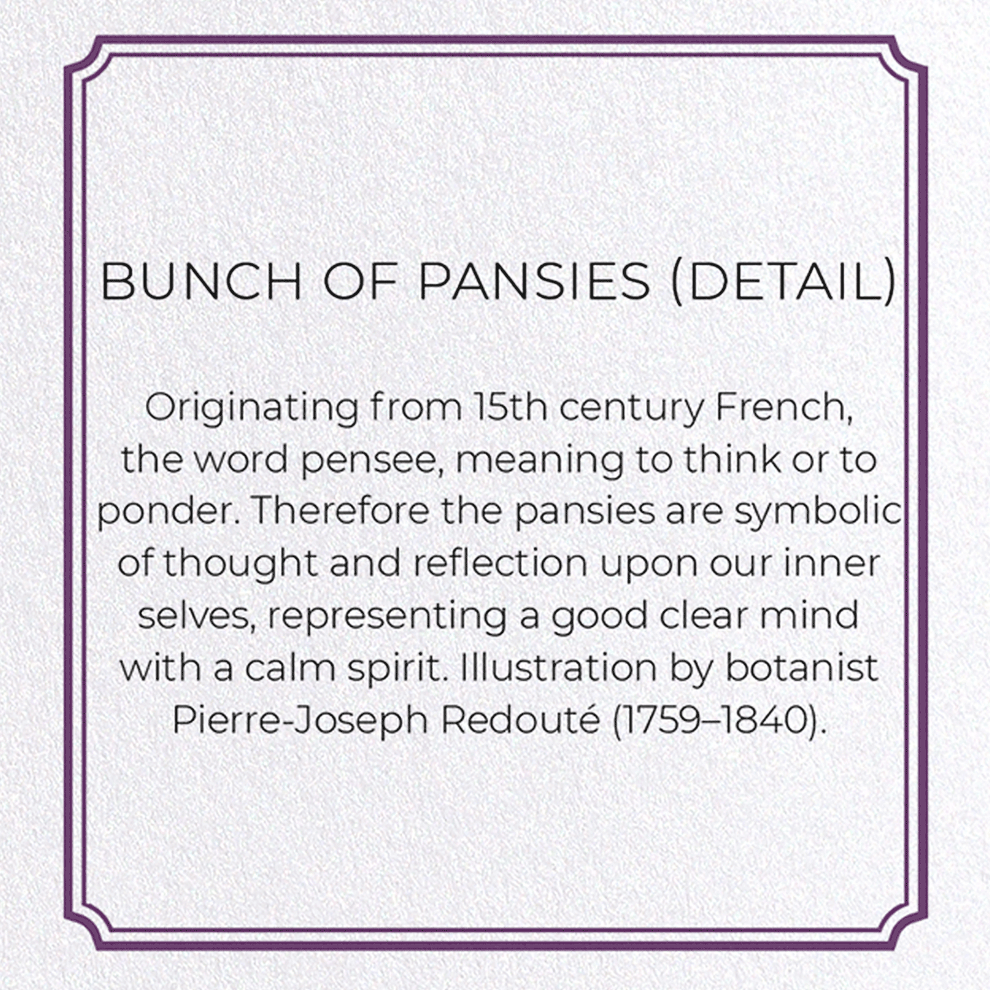 BUNCH OF PANSIES: Botanical Greeting Card