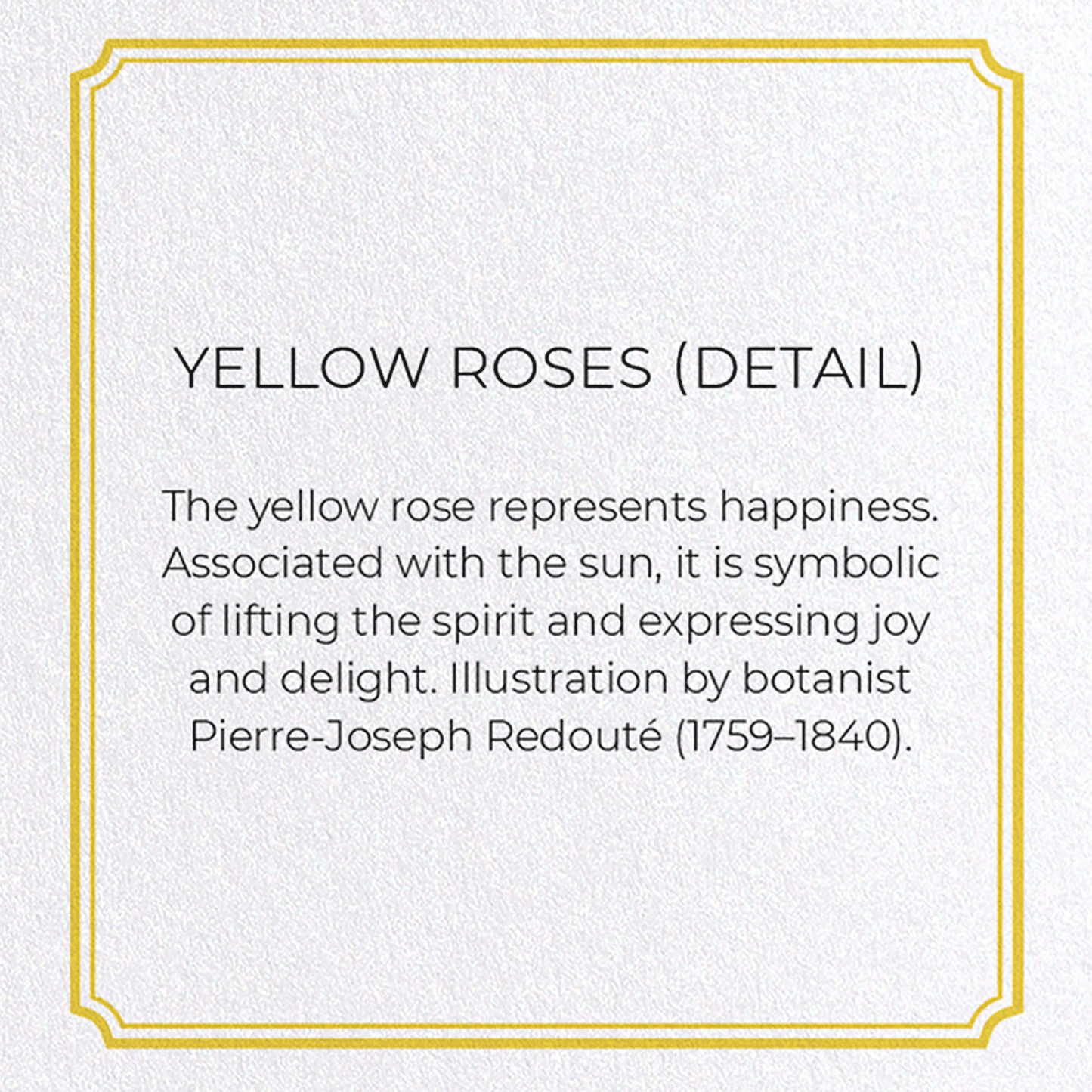 YELLOW ROSES: Botanical Greeting Card