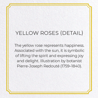 YELLOW ROSES: Botanical Greeting Card