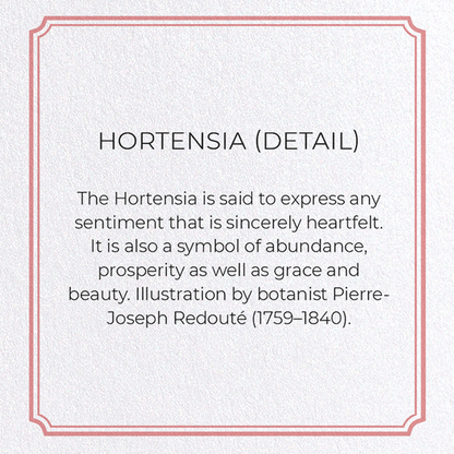 HORTENSIA: Botanical Greeting Card
