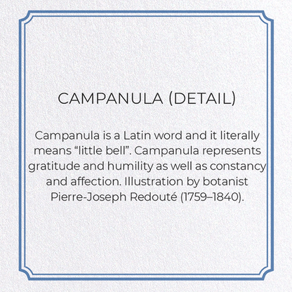 CAMPANULA: Botanical Greeting Card
