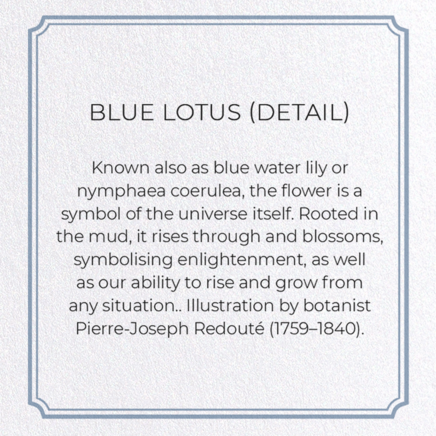 BLUE LOTUS: Botanical Greeting Card