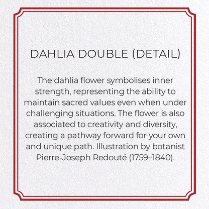 DAHLIA DOUBLE: Botanical Greeting Card