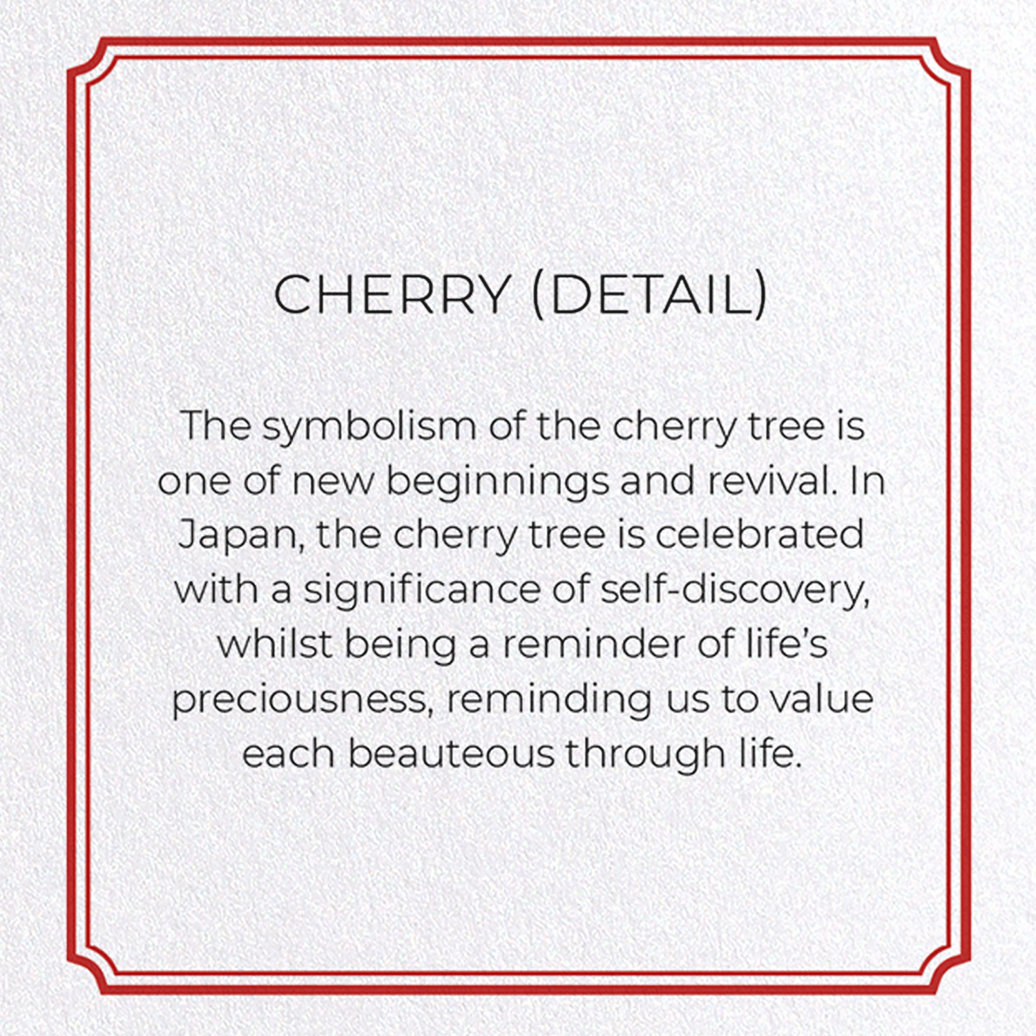 CHERRY: Botanical Greeting Card