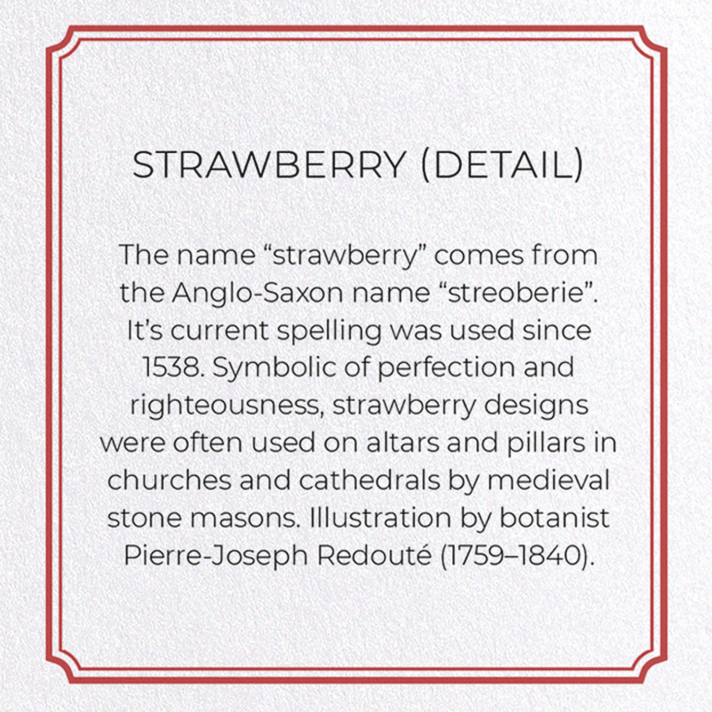 STRAWBERRY: Botanical Greeting Card