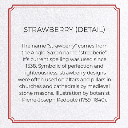 STRAWBERRY: Botanical Greeting Card