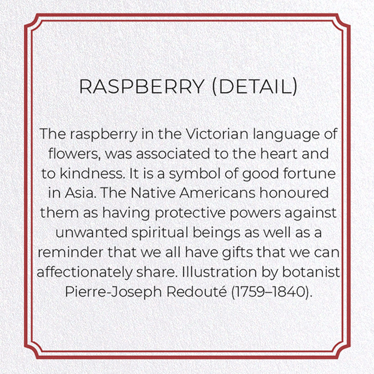 RASPBERRY: Botanical Greeting Card