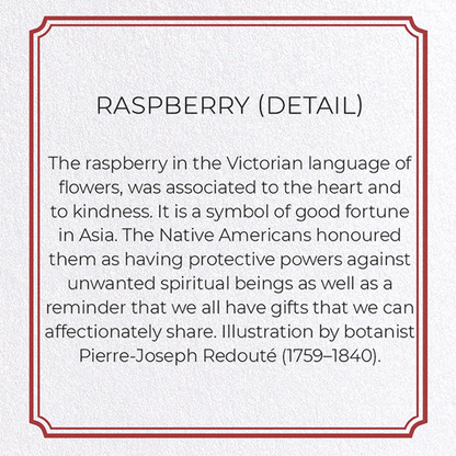 RASPBERRY: Botanical Greeting Card