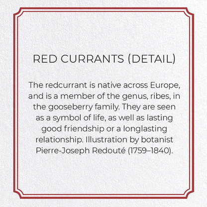 REDCURRANTS: Botanical Greeting Card