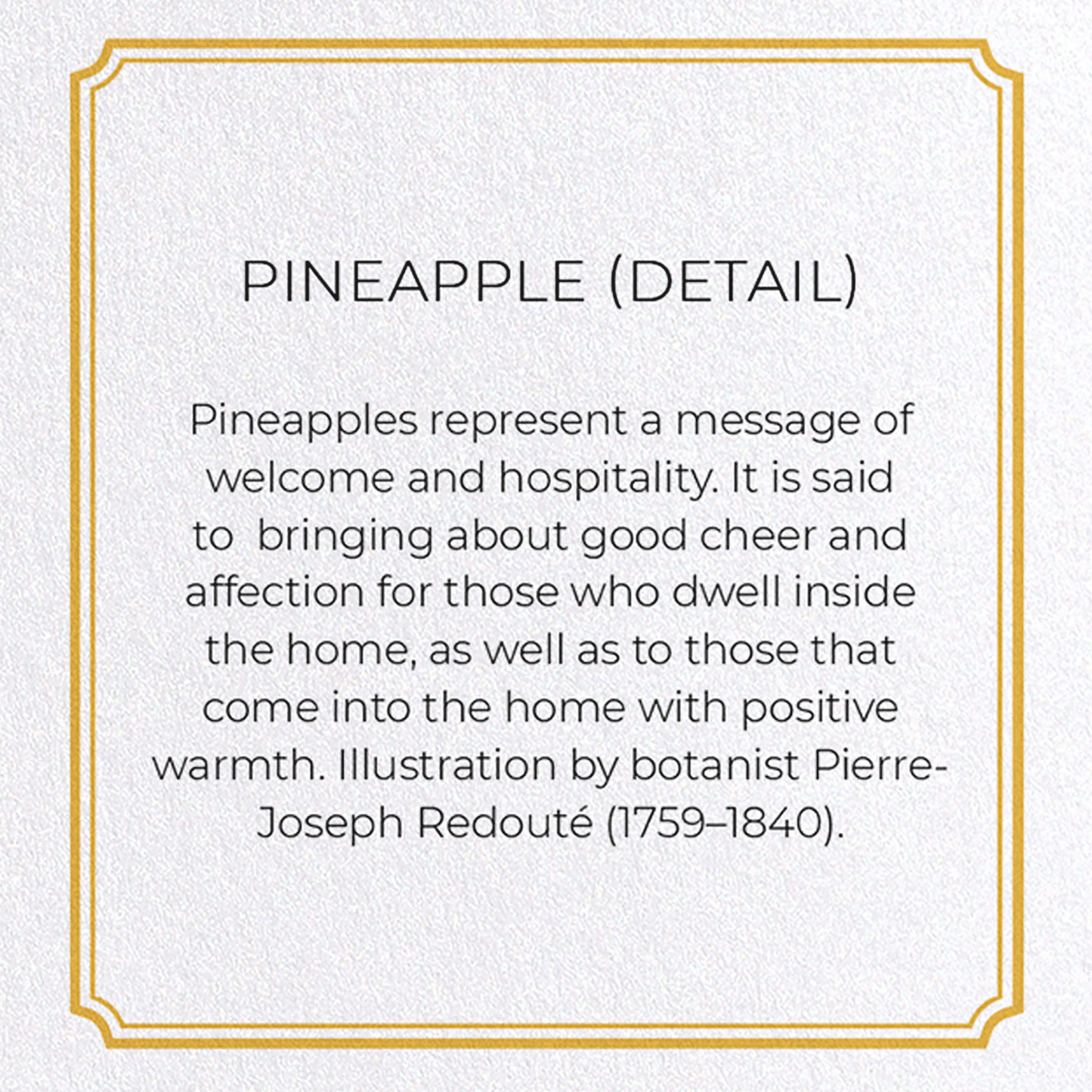PINEAPPLE: Botanical Greeting Card
