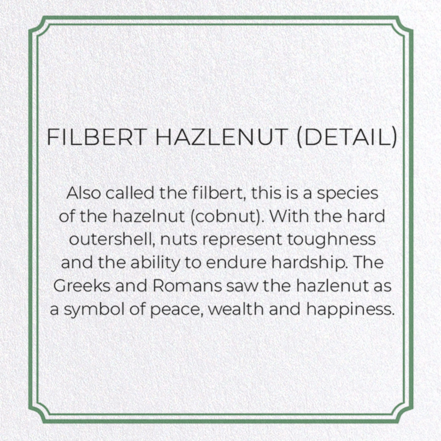 FILBERT HAZLENUT: Botanical Greeting Card