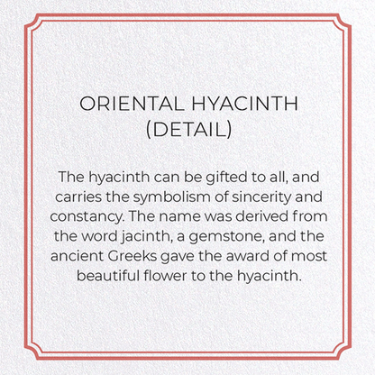 ORIENTAL HYACINTH: Botanical Greeting Card