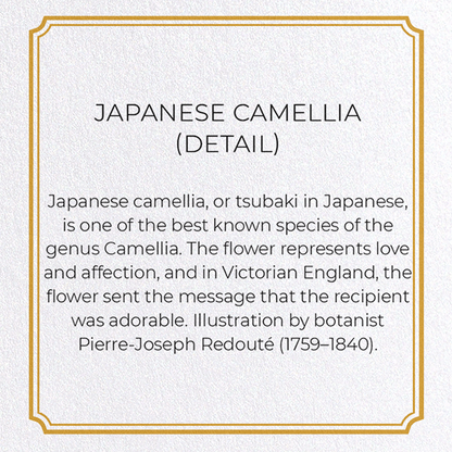 JAPANESE CAMELLIA: Botanical Greeting Card