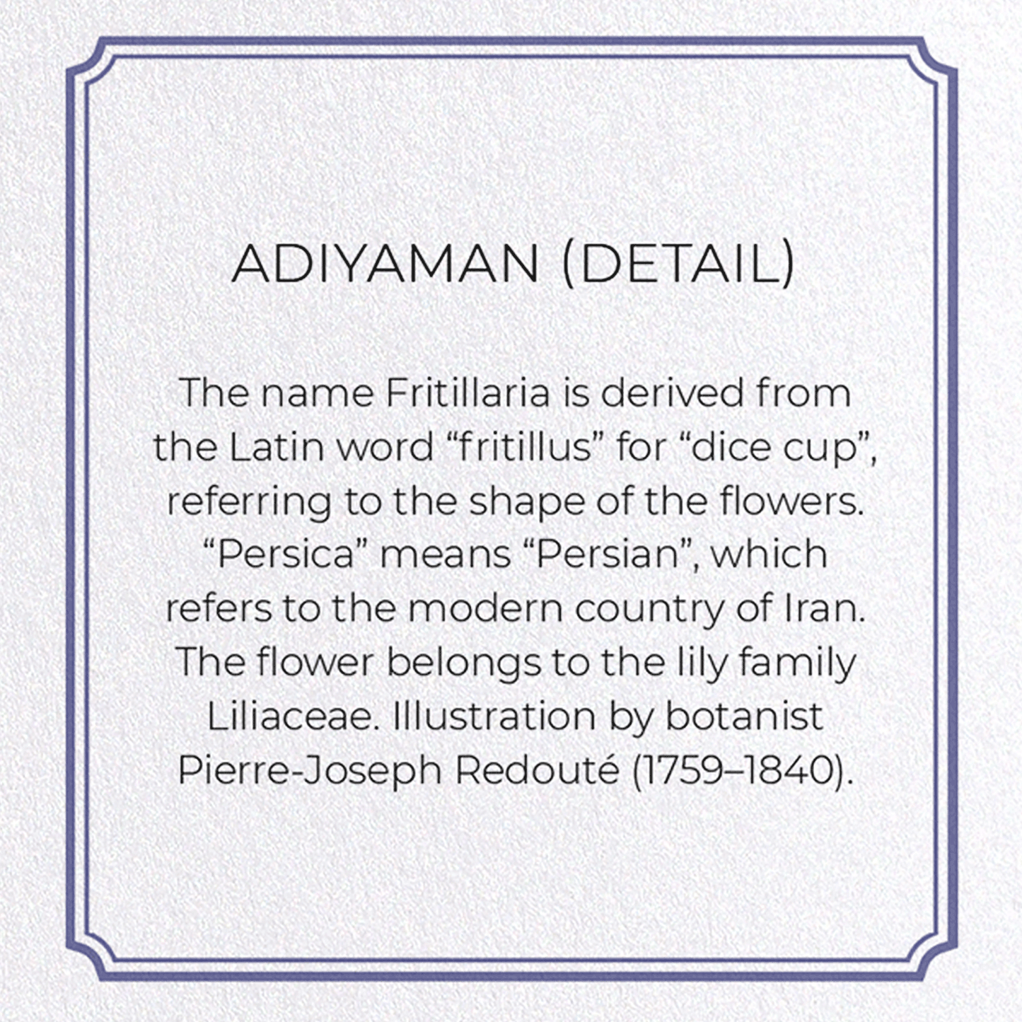ADIYAMAN: Botanical Greeting Card