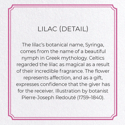 LILAC: Botanical Greeting Card