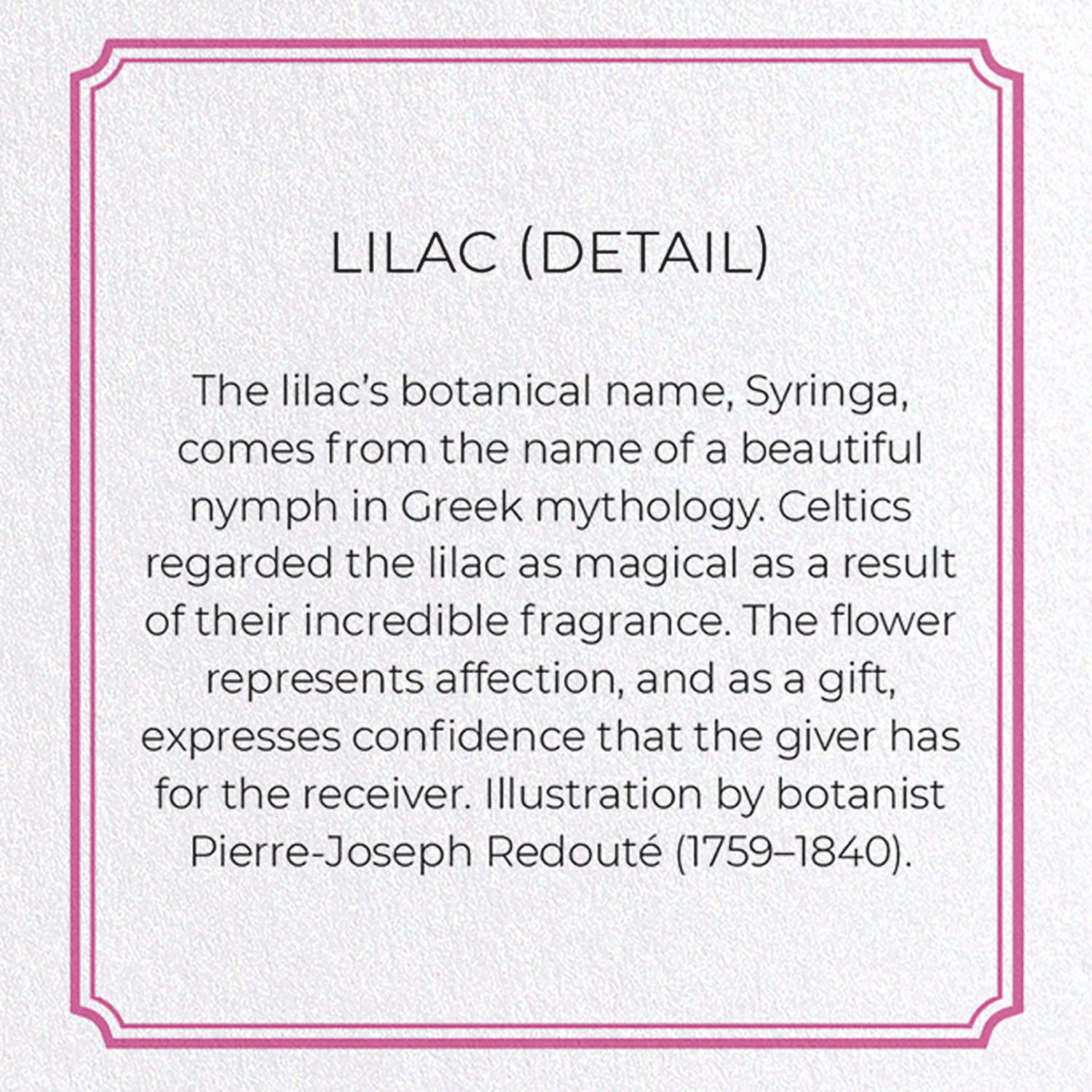 LILAC: Botanical Greeting Card